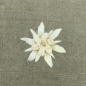 Preview: Edelweiss Total